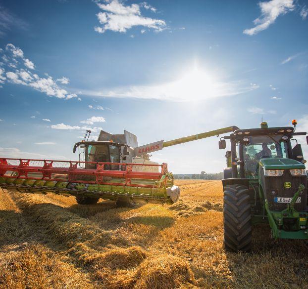 Landwirtschaftliche Produktion Landfleischerei Ranzig Fleisch